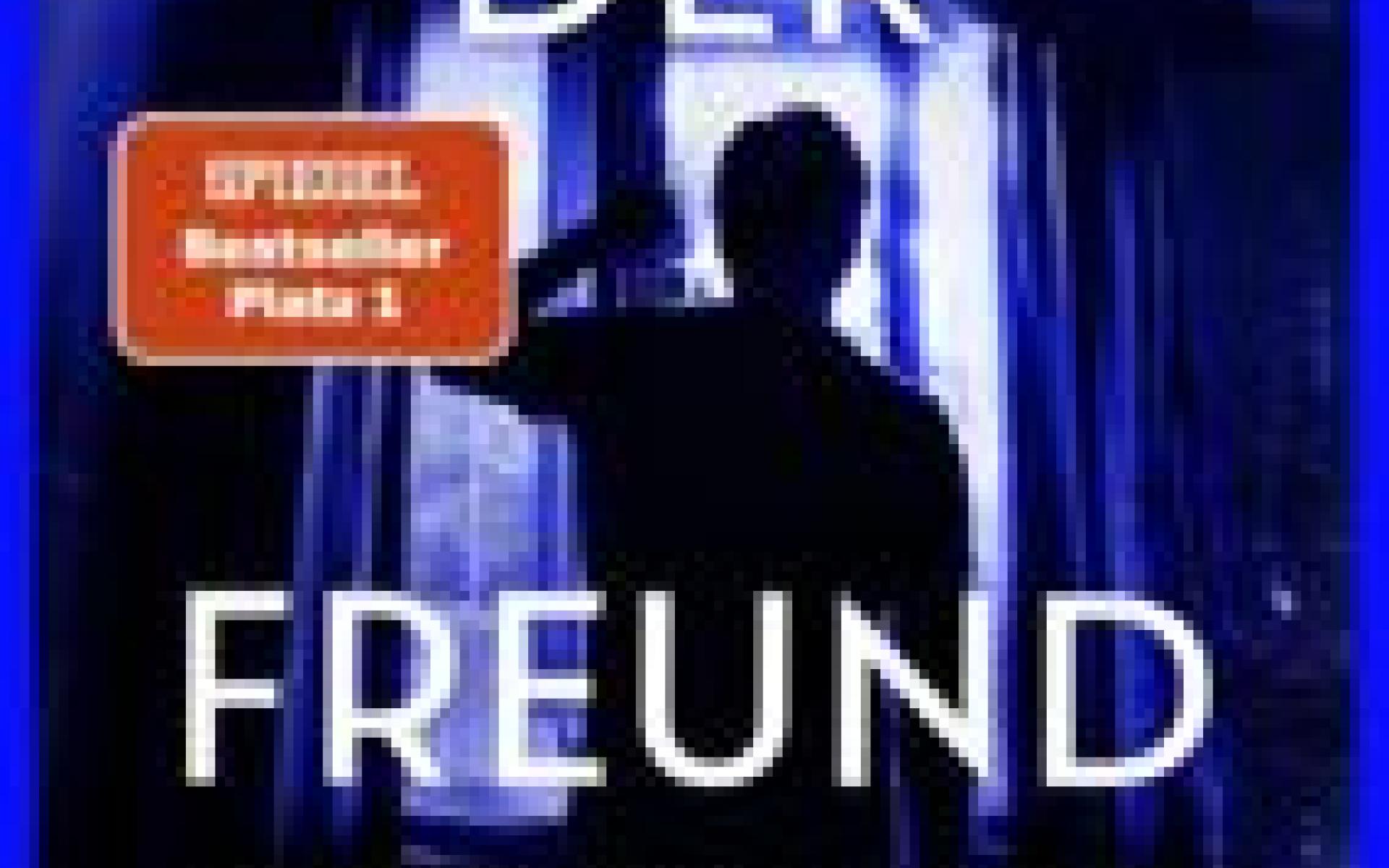 Der Freund