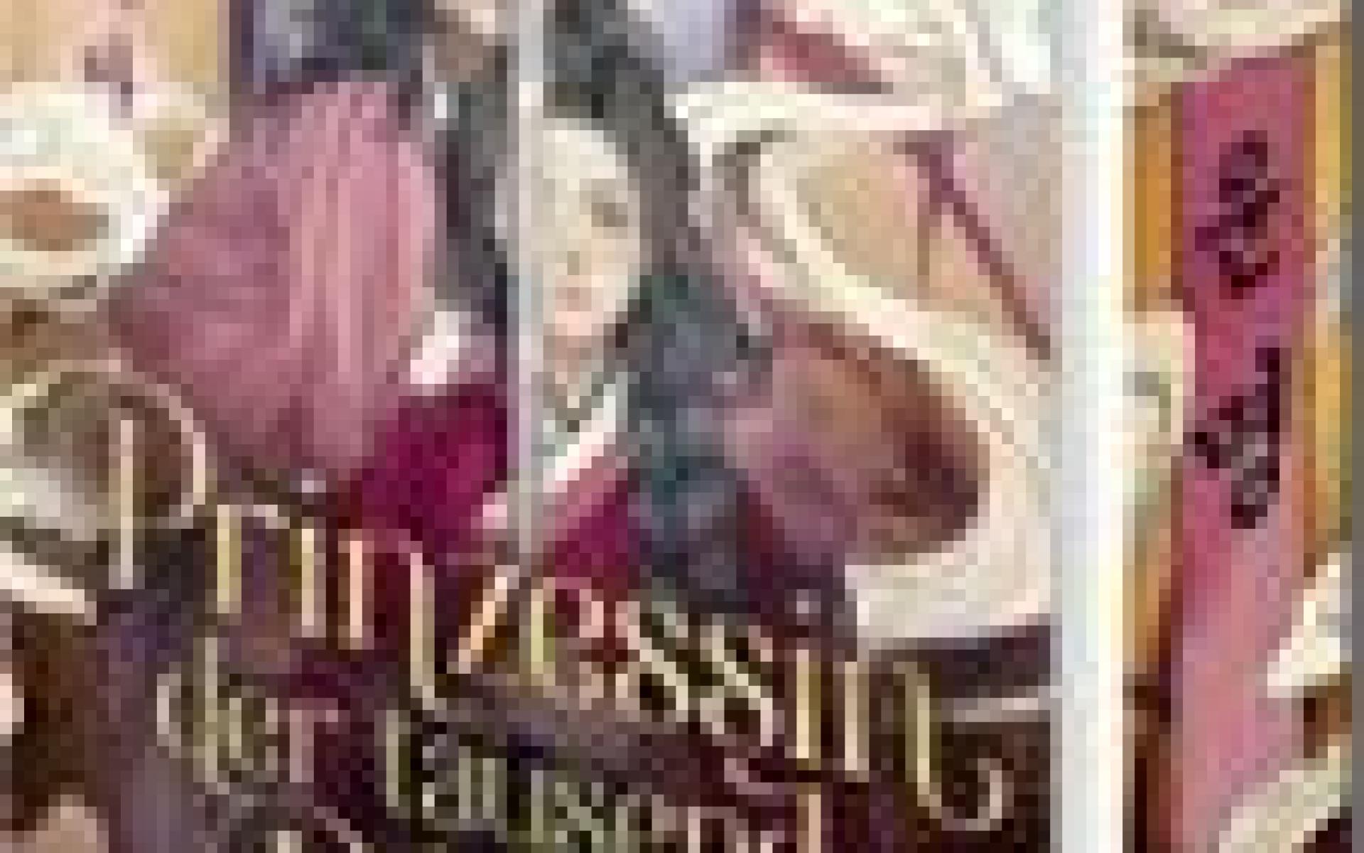 Prinzessin der tausend Diebe 02